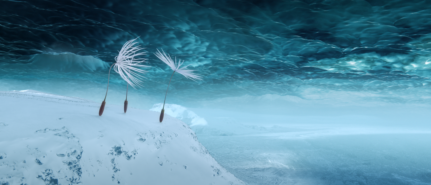 PLANÈTES (Dandelion’s Odyssey)