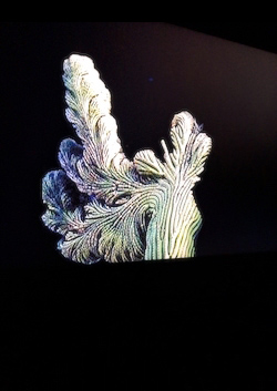 L’Apparition du monstre - Alain Fleischer (2017)