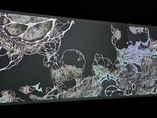 Les Augures mathématiques - Hicham Berrada (2020)