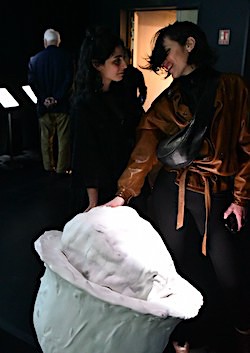 Vitamorphose - Yosra Mojtahedi (2019)